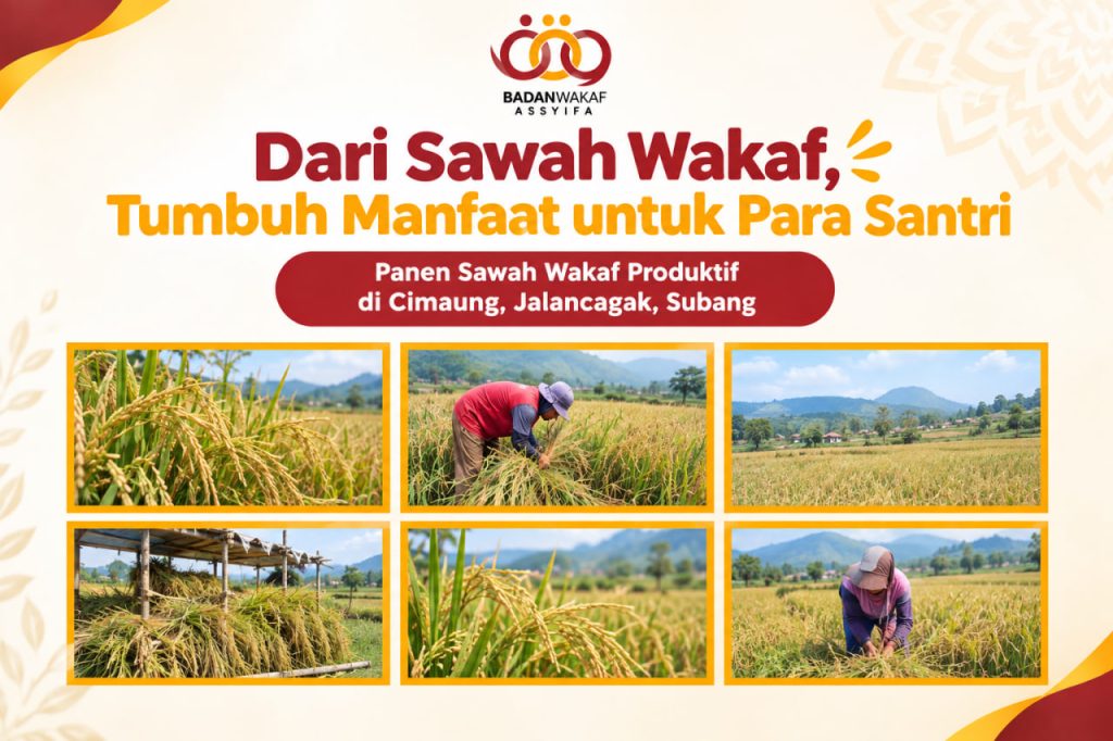 Dari Sawah Wakaf, Tumbuh Manfaat untuk Para Santri